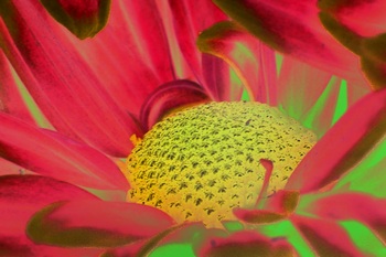 F 068A
